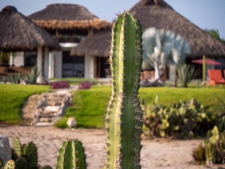 Villa De Las Rocas ปูแอร์โตเอสกอนดิโด ภายนอก รูปภาพ